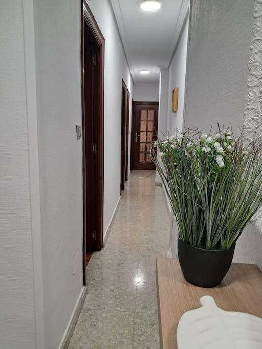 Alojamiento Comercio. Jaén Exterior foto
